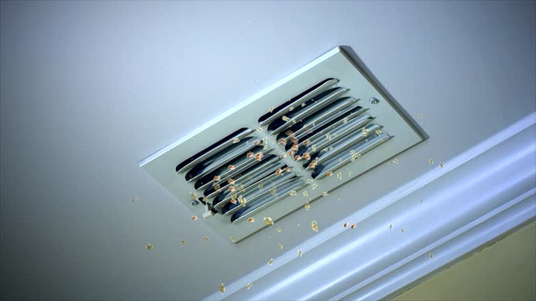 Best Dryer Vent Cleaning Services  in Marysville, PA