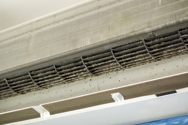 Best Ductwork Cleaning Services  in Marysville, PA